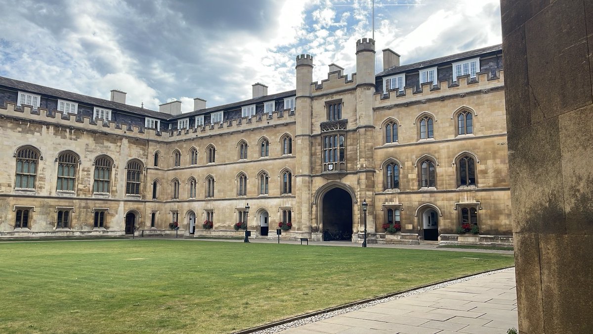 Cecilia Vezzani tweet media