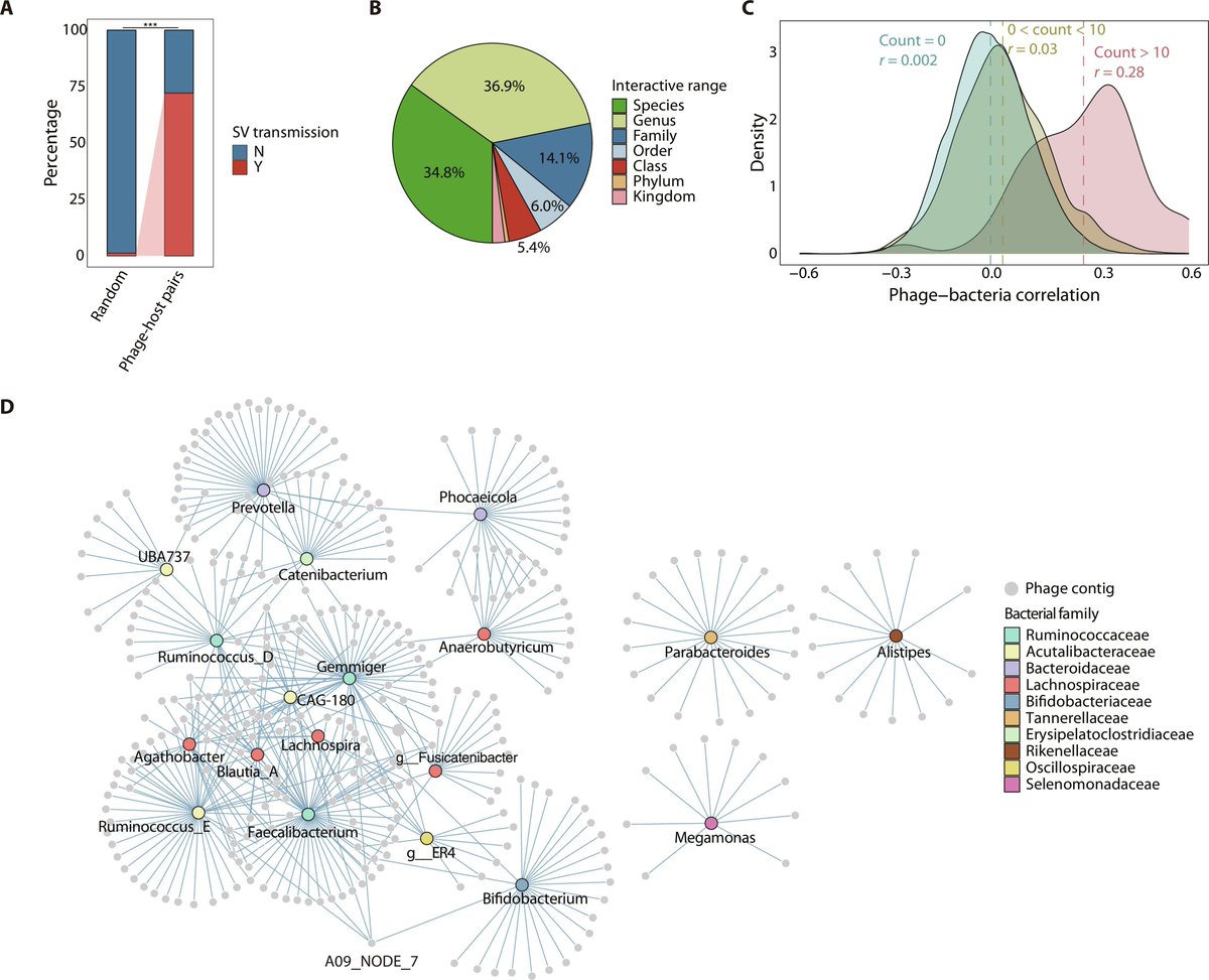MicrobesInfect's tweet photo. Long-read sequencing reveals extensive gut #phageome structural variations driven by genetic exchange with bacterial hosts
https://t.co/gCCCZkpRlY #phages #bacteriophages https://t.co/Mpsi73Hf2i