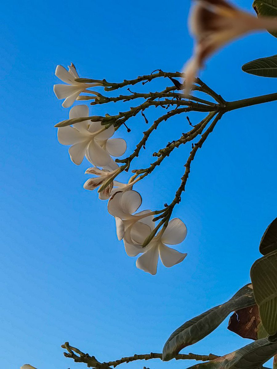 #يوم_Iلجمعه      اللهم باعد بيننا وبين مصائب الدنيا وتقلُّب حوادثها كما باعدت بين المشرق والمغرب🌸💖