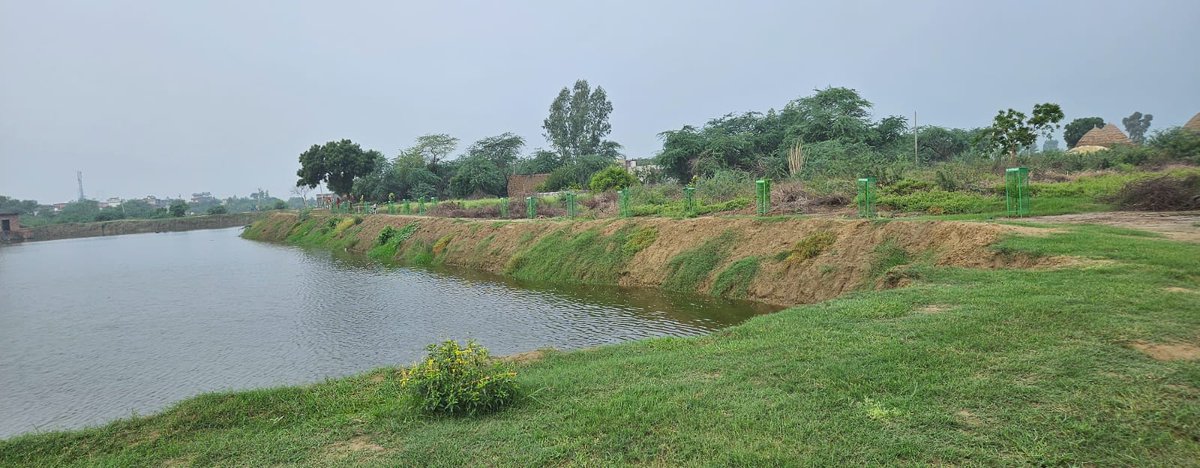 आज नैना से कुछ युवा साथी जनता नर्सरी सोनीपत से पीपल, बड, नीम,जामुन के पौधे लेकर गए और गांव मे ट्री गार्ड के साथ लगाए ऐसे ही आप भी पौधरोपण करे और इसको जन आंदोलन बनाये,<a href="/ishyampoonia/">Shyam Poonia</a> <a href="/MohitDhounchak2/">मोहित पर्यावरण मित्र</a> <a href="/treemandevender/">Tree Man Devender Sura</a> <a href="/BKharkara/">Bhupi Kharkara</a> <a href="/EnvAm/">Environment America</a> <a href="/anandmahindra/">anand mahindra</a>