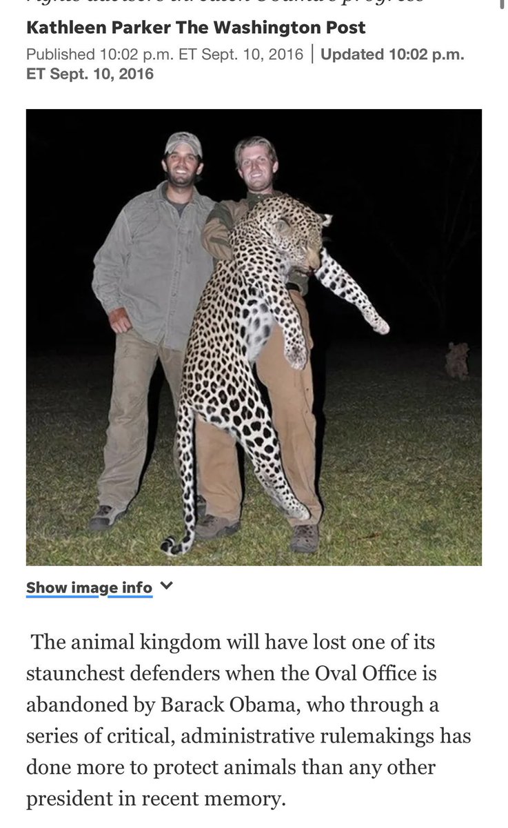 MFWitches's tweet photo. How the fuck do we live in a world where the youngest adult son of the ex-President of the USA has been outed as an entitled, nasty, animal-torturing little cunt and people everywhere are acting fucking surprised?

#NewsCorpse https://t.co/2f5Ph3OR5p