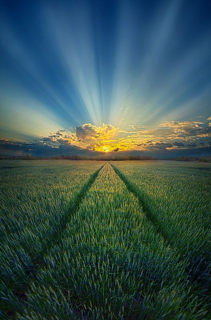 Up and grateful 🙌🙌🙌. 
Thank you Lord for a brand new day.
I pray you perfect all that concerns us this day, give us our daily bread, deliver us from all evil, order our steps, direct our paths, bless the works of our hands and give us peace in Jesus Christ name. Amen 🙏🙏🙏