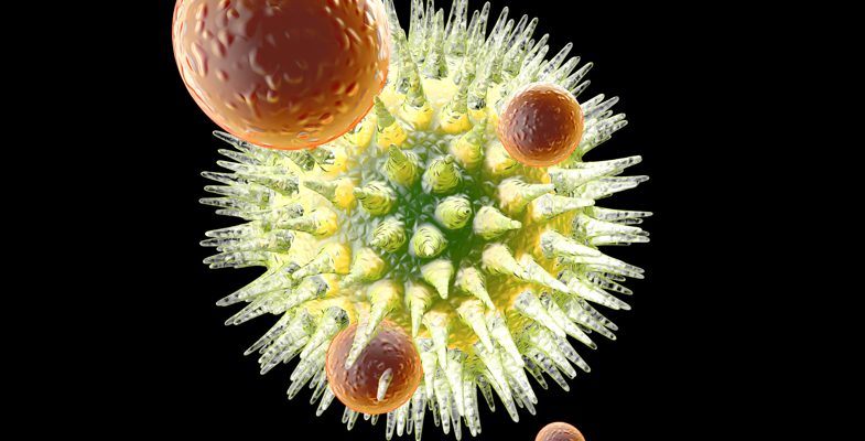 If you're a medical student or foundation doctor, join us for our careers webinar about immunology on 16 Sept. We have 4 great speakers sharing their experiences of working in this fascinating specialty. Register for your free place here: ow.ly/W3bj50SYn4N.. #immunology