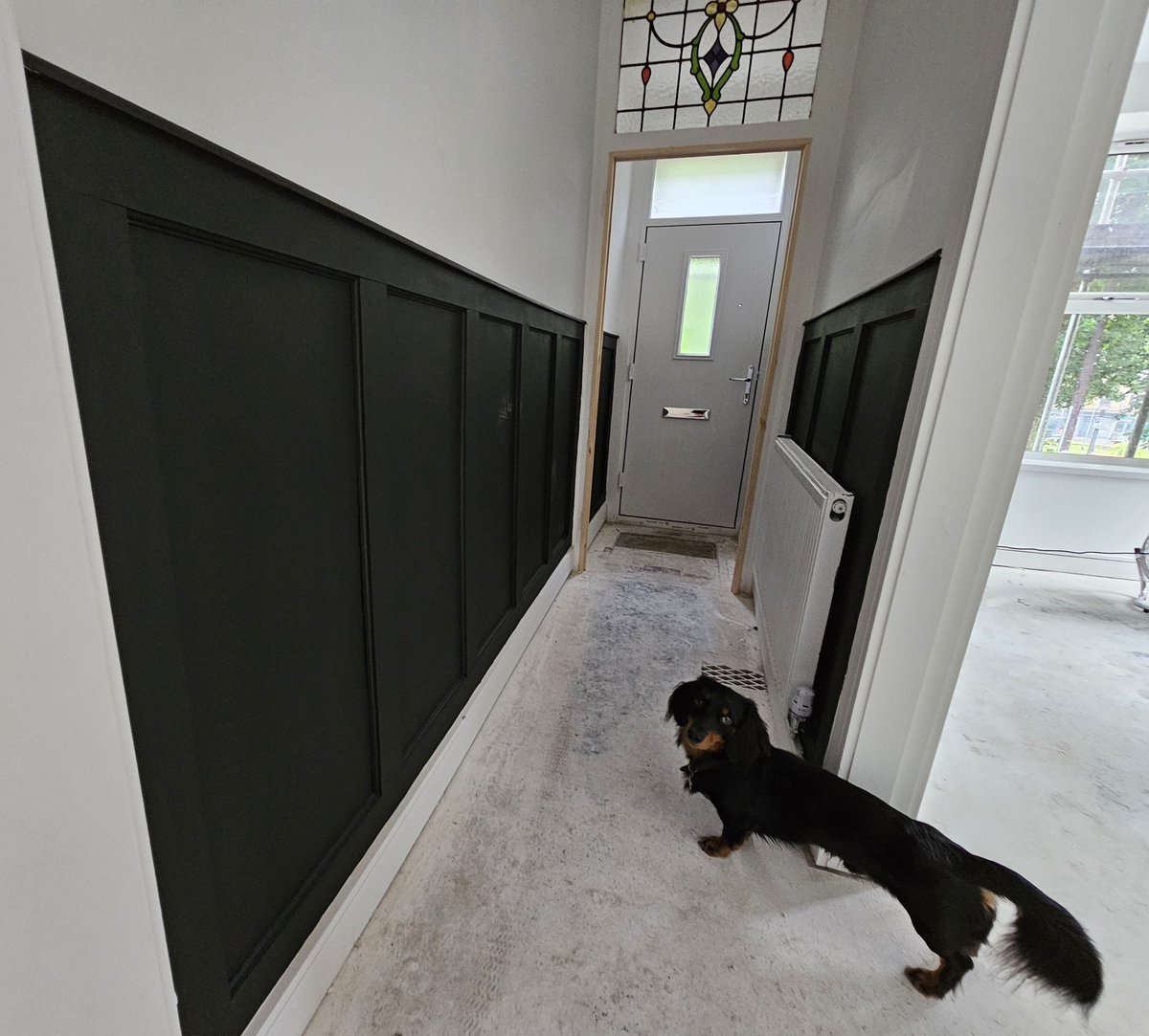 Vinnie admiring the bespoke panels fitted at a property in #Rawtenstall #joinery #Dachshund punchpropertyrepair.co.uk