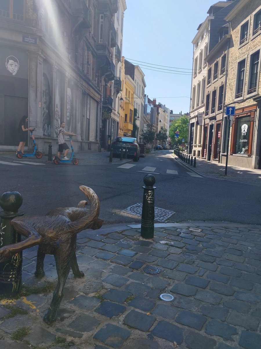 JustTravelling1's tweet photo. Some highlights from my very brief layover in Brussels on Monday 🇧🇪

Many thanks to @SoloTravelStory for her recommendations and helping make the most of my limited stop 💚 https://t.co/WcUZHbh24J