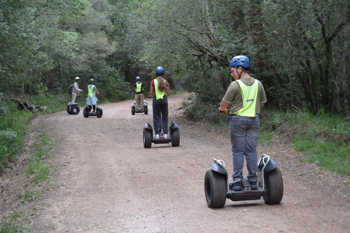 Escape into nature’s wonderland with our Tsitsikamma adventure package! Enjoy Segway rides through ancient forests, coastal hikes, &amp; river kayaking. Whether it’s adrenaline or tranquility, Tsitsikamma has it! Book with Tsela Tours. #TselaTours&amp;Adventure #Tsitsikamma #NatureEscape