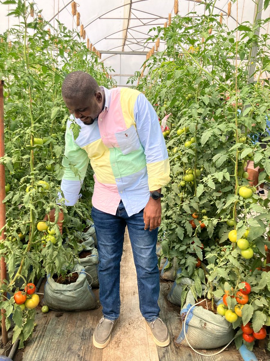 The pepper whisperer!🧘🏾♂️ tweet media