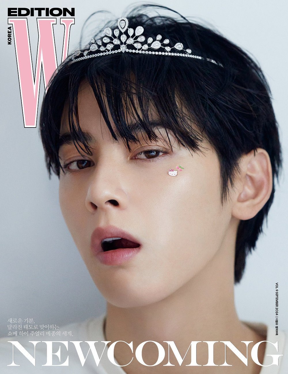 CHA EUNWOO PROJECTS on X: 