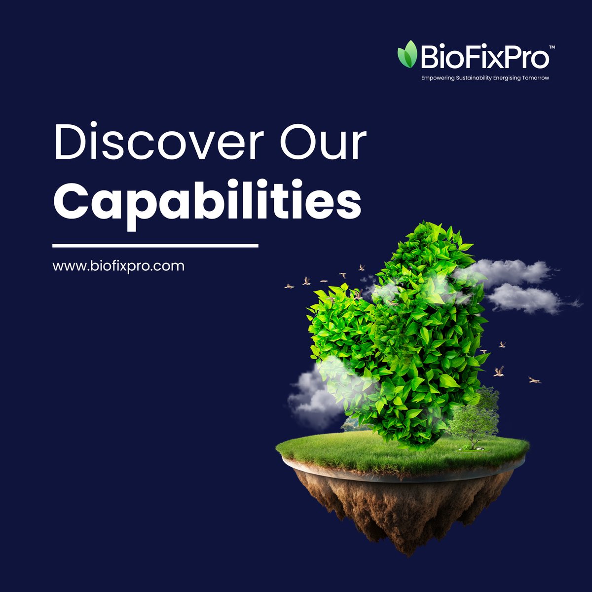 BioFixPro's tweet image. Discover Our Capabilities with BioFixPro 🌍

#EcoInnovation #SustainableSolutions #LikeBioFixPro
