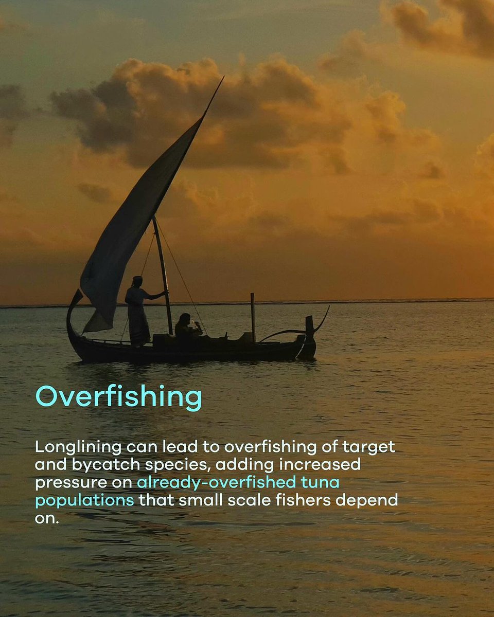 Manta Trust tweet media