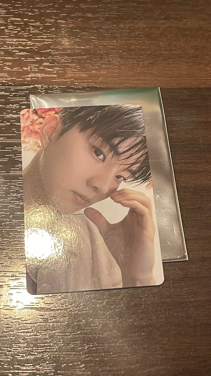 빵비🍞 tweet media