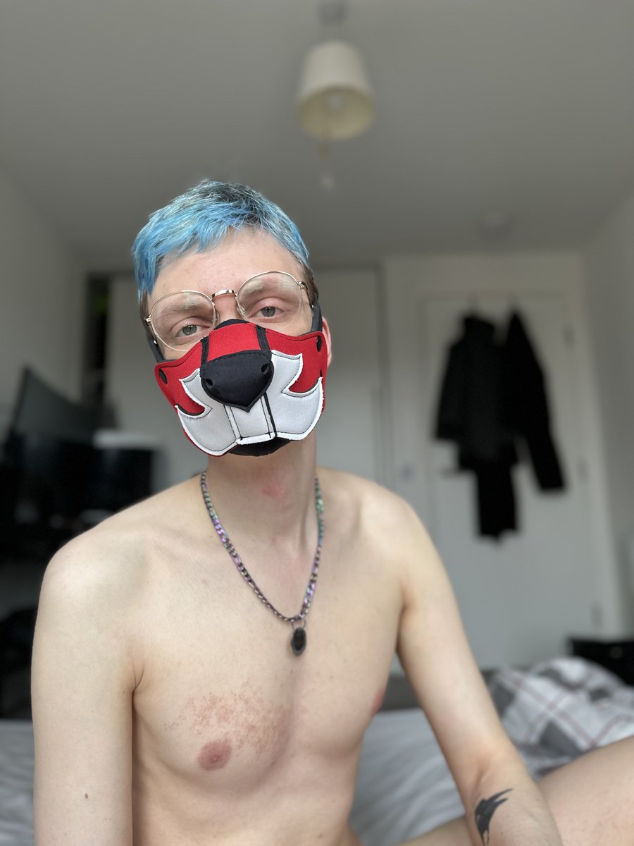 Pup_Amon's tweet photo. The snoot and the boot 🙈🐶🐾 https://t.co/EmCFj7yaJr