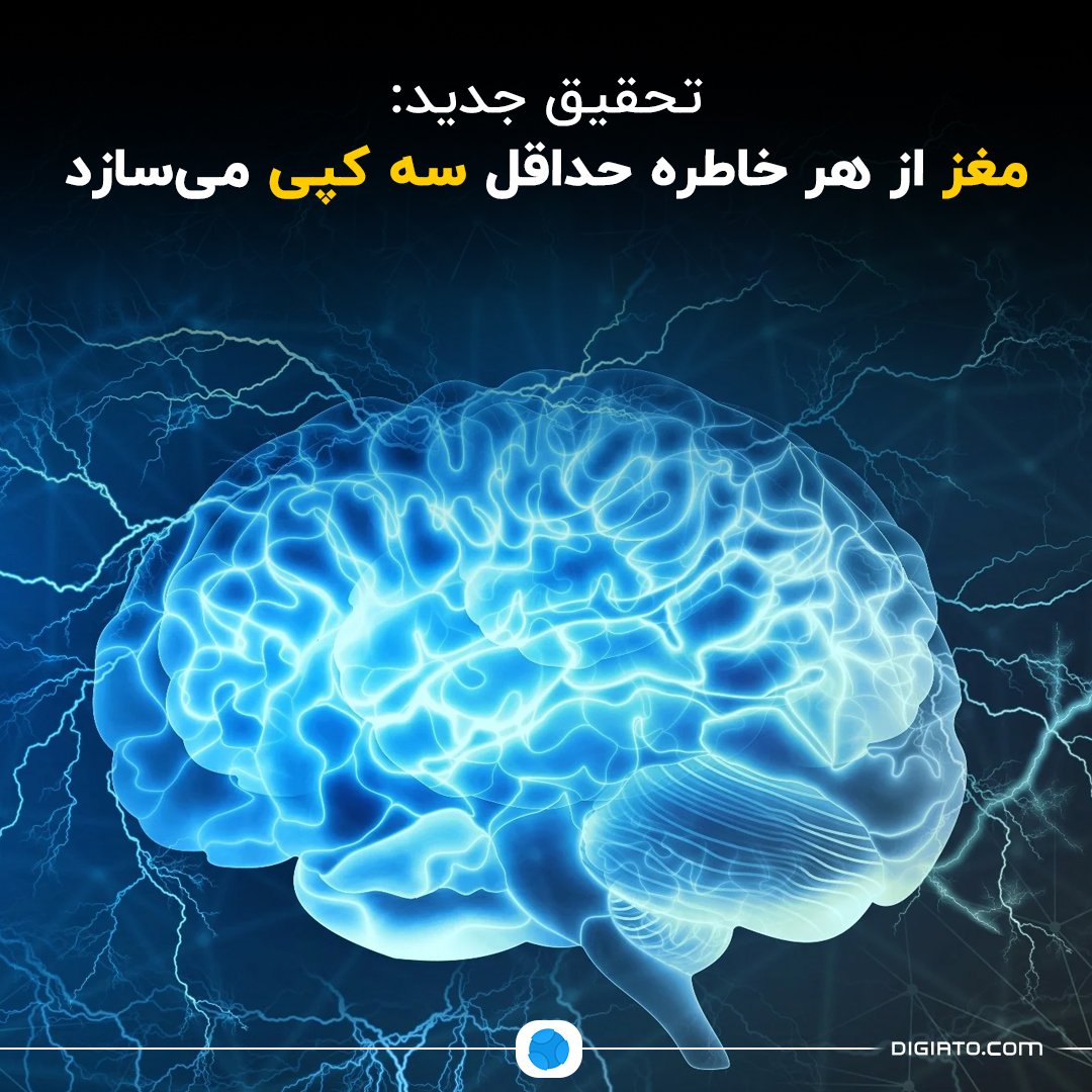 Digiato's tweet photo. ❌تحقیق جدید: مغز از هر خاطره حداقل سه کپی می‌سازد

طبق یافته‌های یک پژوهش جدید، خاطره هر تجربه خاص در چند «کپی» موازی در مغز ذخیره می‌شود. این کپی‌ها برای زمان‌های متفاوتی حفظ می‌شوند، هرکدام تا حدی تغییر می‌کنند، و گاهی اوقات در طول زمان پاک می‌شوند.

دانشمندان دانشگاه بازل سوئیس از موش‌ها استفاده می‌کنند تا چگونگی ذخیره خاطرات در مغز و تغییر آن‌ها در طول عمر را دریابند. آن‌ها دریافتند که در هیپوکامپ، ناحیه‌ای از مغز که مسئول یادگیری از تجربه‌ها است، یک واقعه حداقل در سه گروه عصب مختلف به‌صورت کپی‌های موازی خاطره ذخیره می‌شود. هر کدام از این گروه‌های عصب در یک مرحله خاص در توسعه جنین پدیدار می‌شوند.

مغز از کپی‌ای استفاده می‌کند که تغییرش ساده‌تر است؛ یا ساده‌تر می‌شود از آن برای ساخت یک خاطره جدید استفاده کرد. خاطره‌هایی که در زمانی کوتاه در عصب‌های دیرتر توسعه‌یافته ذخیره شده‌اند قابل تغییر و بازنویسی هستند. این یعنی یادآوری یک موقعیت بلافاصله پس از رخ دادنش، عصب‌های دیرتر توسعه‌یافته را آماده می‌کند تا فعال شوند و اطلاعات موجود را درون خاطره اصلی ادغام کنند.