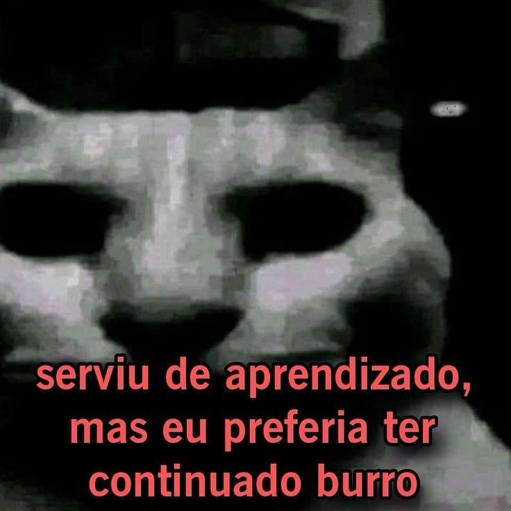 Pantis54's tweet photo. @godistonystark e se não achar fofo é inveja https://t.co/xsJoXQA4U1