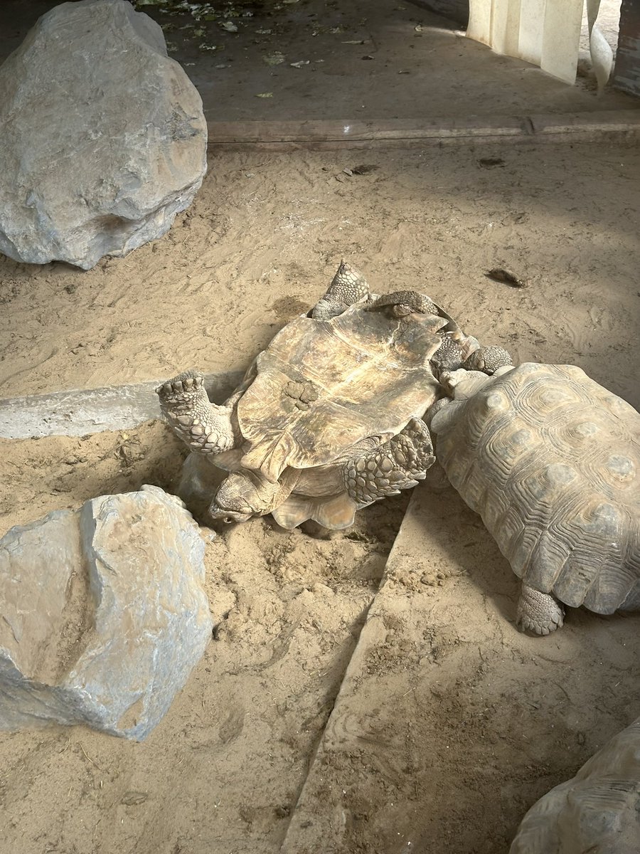 Matthew Davis tweet media