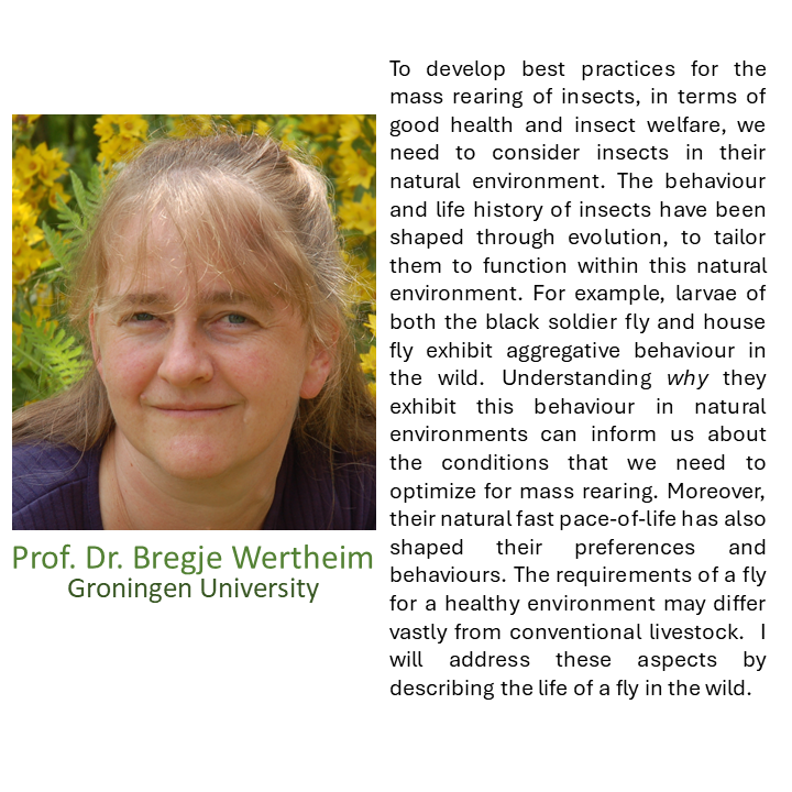 FeedInsect's tweet photo. At our interdisciplinary symposium on the 12th of September Yvonne Kortsmit and Bregje Wertheim will shine a light on Fly and larval behaviour in both large-scale fly rearing and in the wild! Info and registration: https://t.co/Z7vGCVzdIo…
@WUR
@univgroningen 
@HASgreenacademy https://t.co/qp7IiSvTgZ