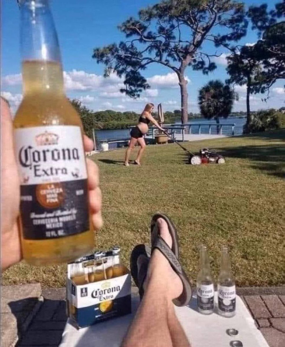 John Bummit, PhD. tweet media