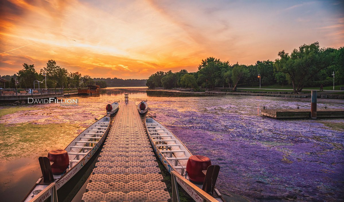 davidfillion's tweet photo. Sights (and smells) of Bayfront Park. Blue-Green Algal Blooms 🌅
#hamont #hamilton #myhamilton #hamiltontario #bayfrontpark #bayfront #sunset #goldenhour #bluegreenalgae #smellsbad #sunset #stillbeautiful #donotswim #stayoutofwater #algae #agalbloom https://t.co/hdAtB7yHlD