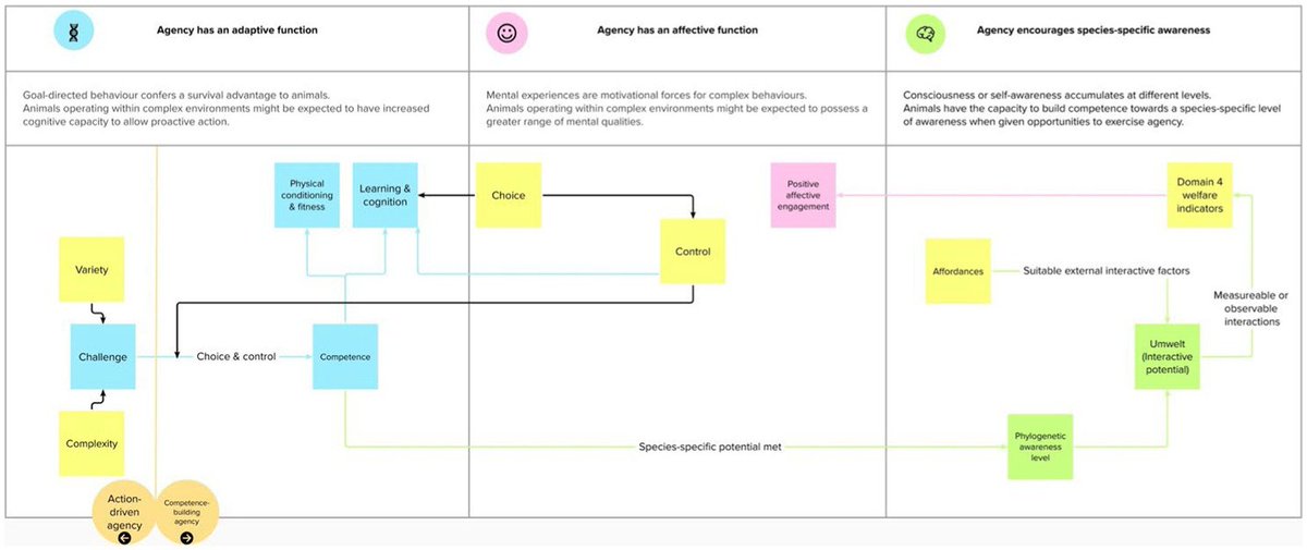 COST Action - Positive animal welfare (LIFT) (@liftcostaction) on Twitter photo 📰✨ Our Feature Paper of the Month! ✨📰
This month's highlight: "The agency domain and behavioral interactions: assessing positive animal welfare using the Five Domains Model" by Katherine E. Littlewood (<a href="/KatLittlewood/">Kat Littlewood</a>) and colleagues.
📖 Read more: doi.org/10.3389/fvets.… 📰✨ Our Feature Paper of the Month! ✨📰
This month's highlight: "The agency domain and behavioral interactions: assessing positive animal welfare using the Five Domains Model" by Katherine E. Littlewood (<a href="/KatLittlewood/">Kat Littlewood</a>) and colleagues.
📖 Read more: doi.org/10.3389/fvets.…