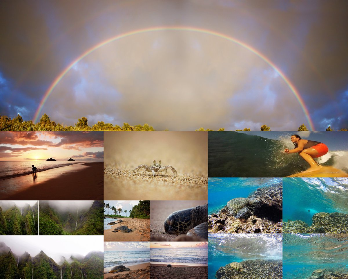 Kristin_Mae's tweet photo. HA! Here's another #FlashackFriday post. I made this collage a LONG time ago because I had to share it with my class to introduce myself. "What do you do for fun, what are your hobbies?" I think this summed it up. I need to plan a trip to Hawai'i soon. 🤙 https://t.co/1RAfa2Zui9