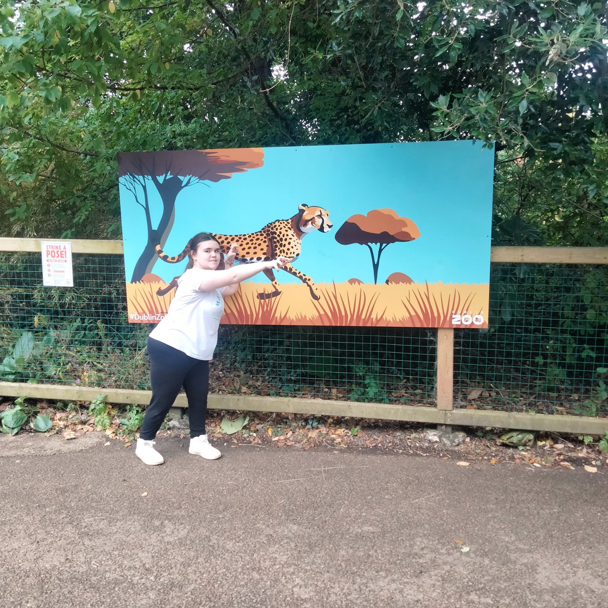 grs85's tweet photo. @DublinZoo 
#Dublinzoomoments https://t.co/dn2ZH7zXnf