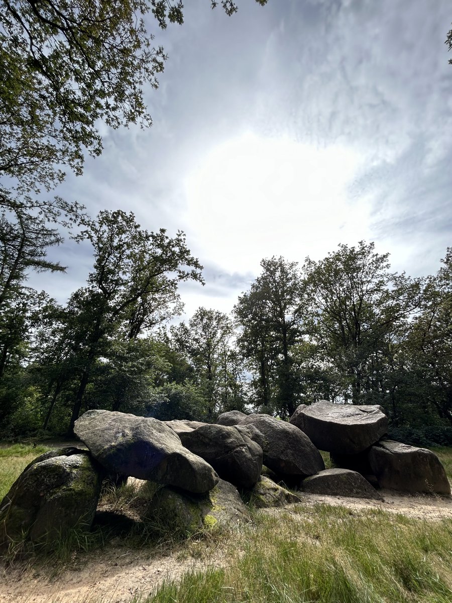 @koplamp.bsky.social Martin Schoenmaker tweet media