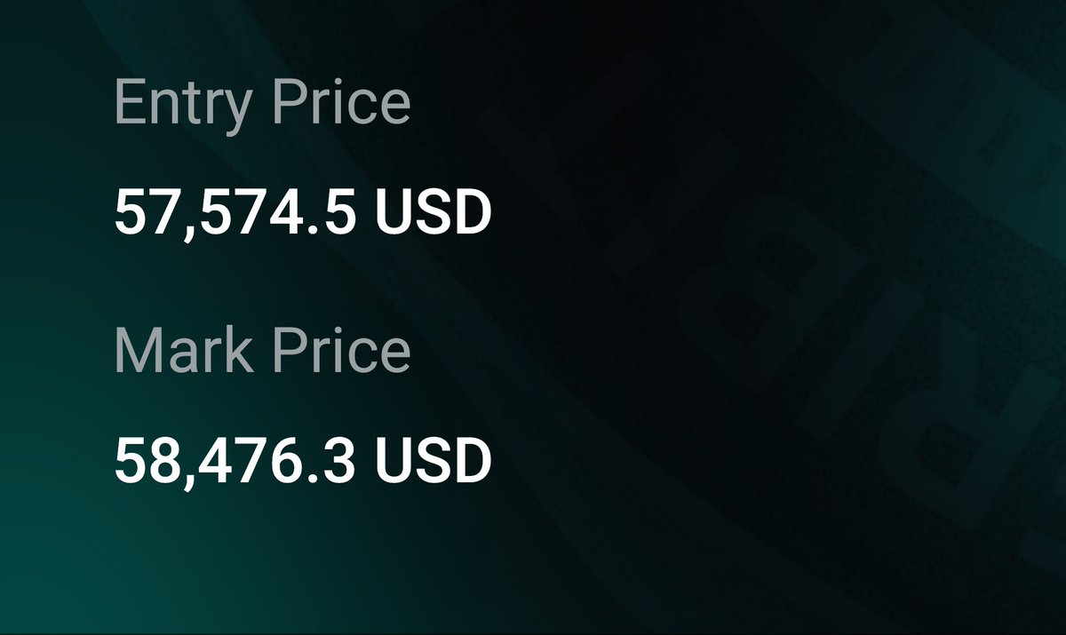 Vincent Timmer tweet media