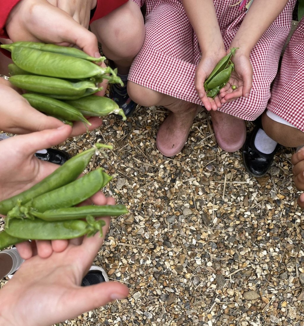 CountrySupplie's tweet photo. Earlier on this year, Esme Howarth worked hard on bringing this space to life for the children at Cookham Dean Primary School. We helped this project by supplying sleepers, gravel and compost 🌟

A massive well done to the team 👏 https://t.co/l14qFGBjmd