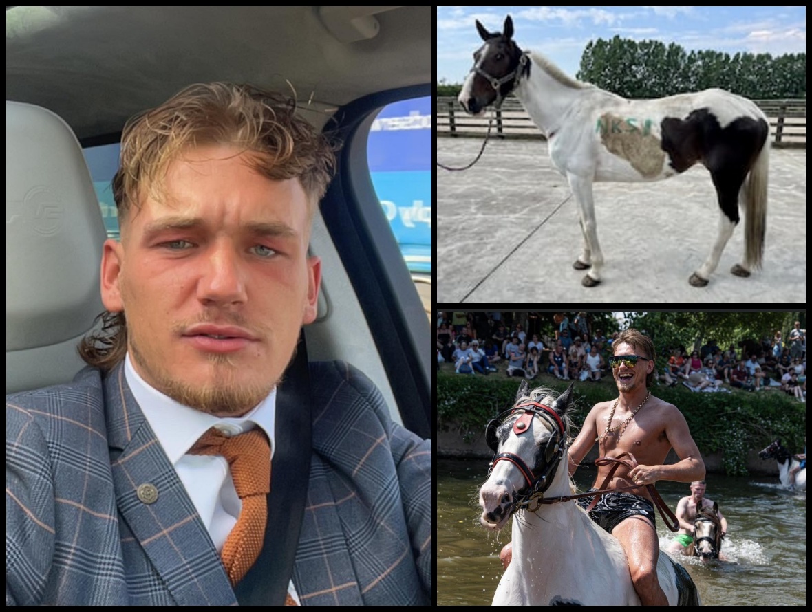 AdoptionsUk's tweet photo. Please retweet, CONVICTED | Joe Mansell, 23, from #Bloxwich, #Walsall #WESTMIDLANDS - drove his pregnant mare to exhaustion at Appleby Horse Fair - AVOIDS JAIL ‼️Mansell, a gypsy, was found guilty of two offences under the Animal Welfare Act 2006. Sadly due to her abuse she lost her foal. 
Sentencing | 12-week custodial suspended for 12 months; 12-month community order with rehabilitation activity requirement; costs of £500. 10-year ban on keeping equines but can appeal after five years.
The thoroughbred cross, known as Classic Lady, was found collapsed at the notoriously cruel travellers horse fair in June 2023. Field officers from World Horse Welfare, alongside RSPCA Inspectors and welfare officers from other organisations, responded to concerns for the mare. Reports had come in that the skewbald had been witnessed falling down multiple times. Lady was discovered by the welfare team standing up, but very sweaty, breathing heavily and unsteady on her feet. She was suffering from fresh wounds from her fall and when offered water, she quickly drank. 
Two specialist equine vets certified her as suffering and placed her into the care of the RSPCA before she was moved to World Horse Welfare’s Penny Farm Rescue and Rehoming Centre in Blackpool. Adam Cummins, Farm Manager at World Horse Welfare’s Penny Farm Rescue and Rehoming Centre: “When Lady first came into Penny Farm, it was clear just how exhausted she was. “She was lame, very underweight and had horrific rubs and open wounds from her harness. Because she was nervous of people, it took a lot of time for her to relax and trust our grooms – as with many of the horses that come into our care, time and patience was key. “With good nutrition, compassionate handling and being turned out in a settled herd, Lady grew in confidence and has a bright future ahead of her. She has recently been advertised on our rehoming website pages and is ready to find a loving new home.” Sentencing | 12-week custodial suspended for 12 months; 12-month community order with rehabilitation activity requirement; costs of £500. 10-year ban on keeping equines but can appeal after five years.  DETAILS AND CREDIT 👇
https://t.co/DsaxrvIQCZ… 
#ApplebyHorseFair #horses #horse #animalabuse #ponies #pony #animalcruelty #Cumbria #England #Wales #Scotland #Ireland #NorthernIreland #JoeMansell