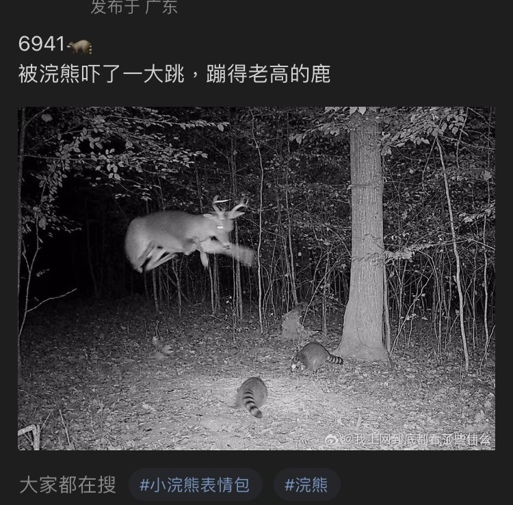 Maître Cervidé (@masterrenndraw) on Twitter photo 