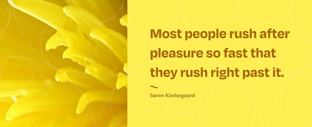 W. Rix Victory II tweet media