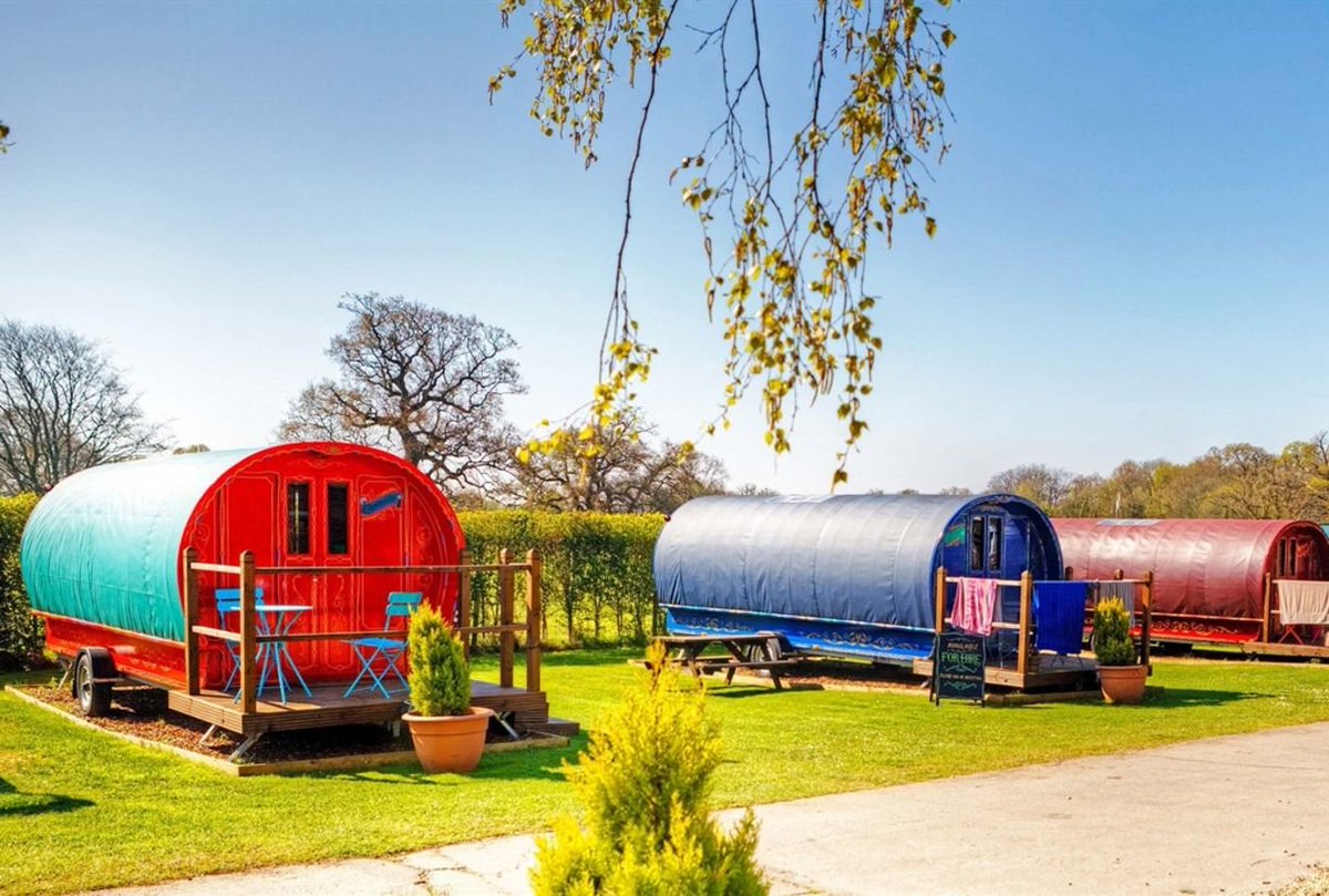 The weather is looking pretty good here in Dorset, why not book a camping, caravan or glamping break at South Lytchett Manor this August👉 southlytchettmanor.co.uk
