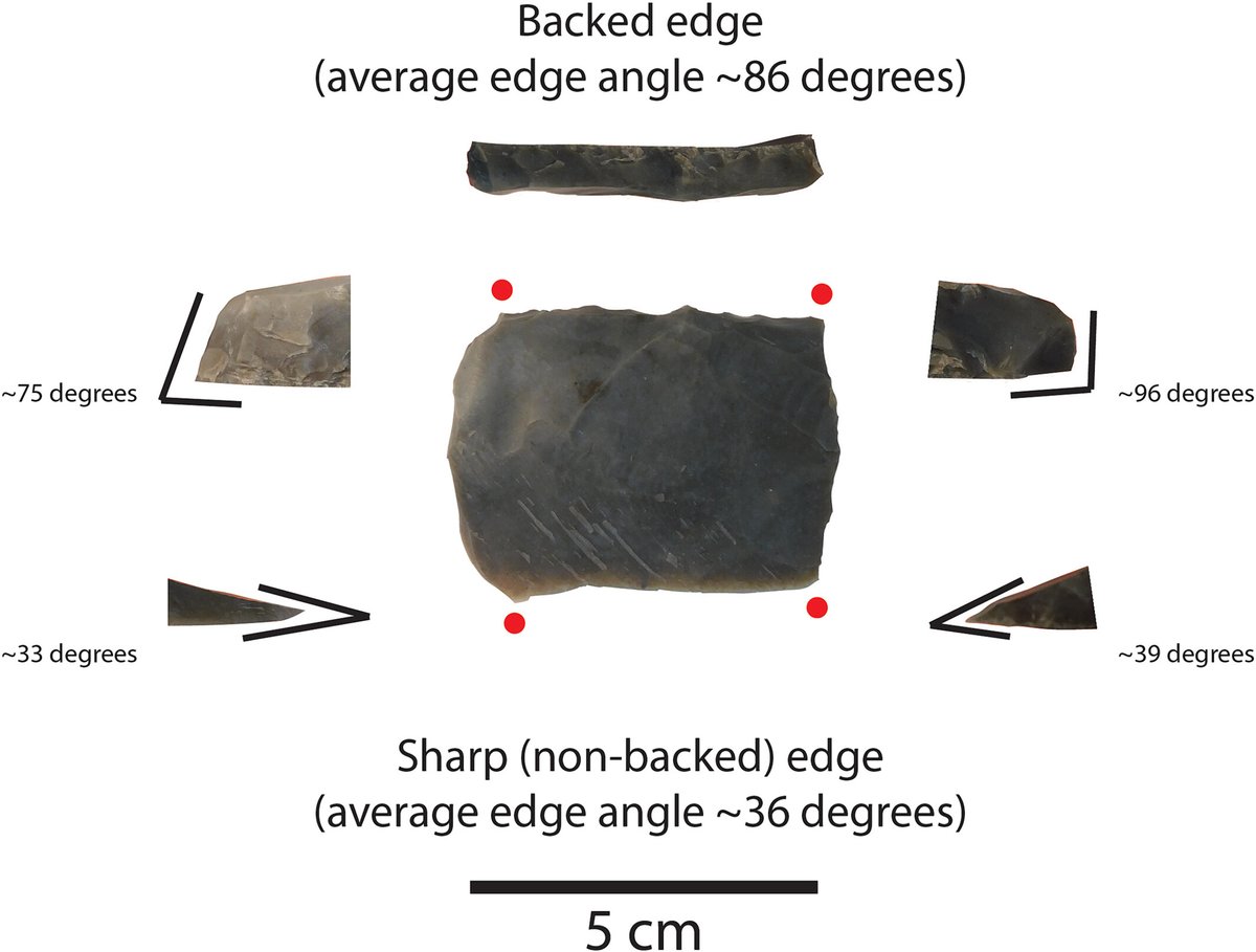 Justin Pargeter (@justin_pargeter) on Twitter photo Our latest <a href="/NSF/">U.S. National Science Foundation</a>-funded study challenges long-standing assumptions about stone tool backing. Controlled tests show no significant difference in adhesion between backed and non-backed lithic edges. Dive into the details: onlinelibrary.wiley.com/doi/10.1111/ar… 🪨🔍 Our latest <a href="/NSF/">U.S. National Science Foundation</a>-funded study challenges long-standing assumptions about stone tool backing. Controlled tests show no significant difference in adhesion between backed and non-backed lithic edges. Dive into the details: onlinelibrary.wiley.com/doi/10.1111/ar… 🪨🔍