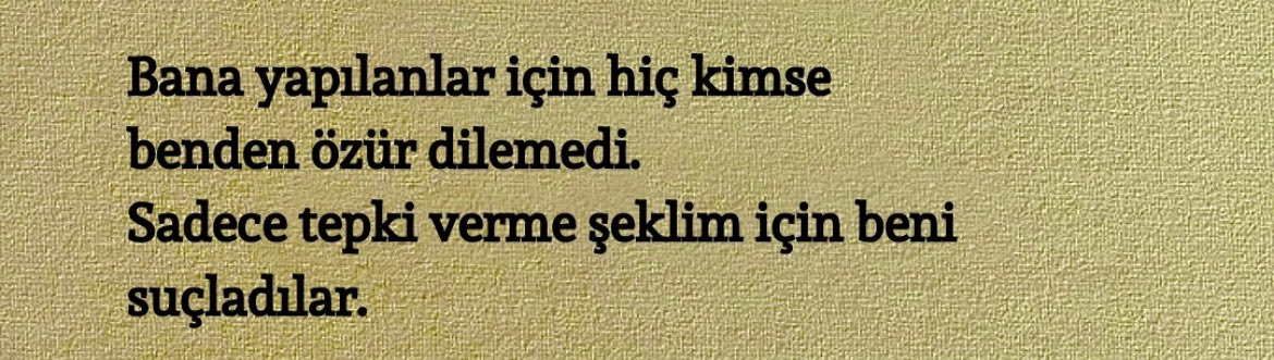 sᴇɴsɪᴢ ʜᴀᴛıʀᴀ (@sensizhatiram) on Twitter photo 