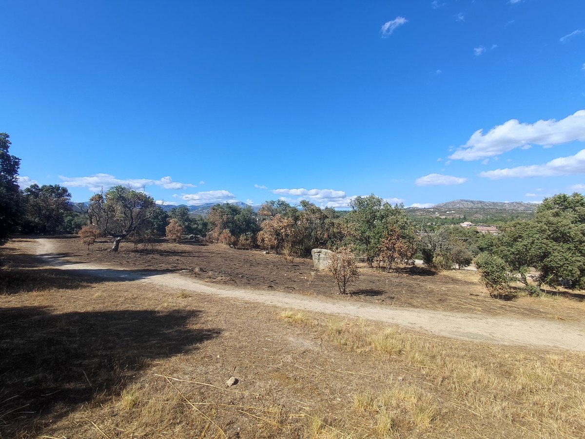 protecvillalba's tweet photo. En tu mano está el ayudarnos a evitar que imágenes como estas se vuelvan a repetir en el municipio.
🚮 Si vas al campo no dejes vidrios en el suelo ni tires colillas.
⛔ No hagas fuego en el monte.
☎️ En caso de ver una columna de humo, llama al 1-1-2.
#IIFF 🔥
#PAMIF https://t.co/mJiqaYuHqs