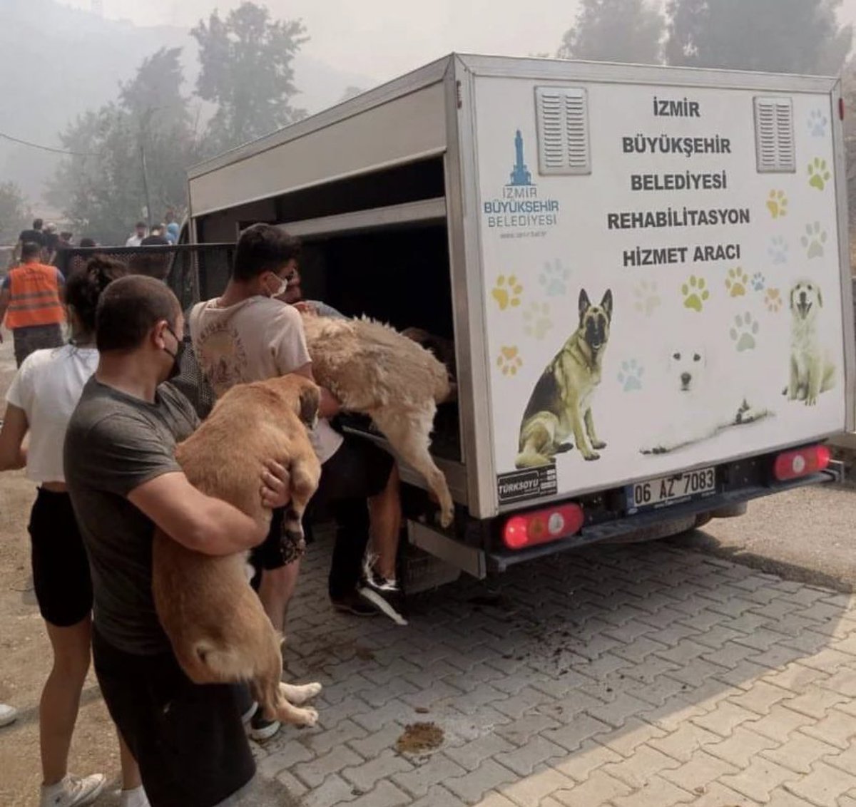 #İzmir/#Karşıyaka'da çıkan yangının ardından Örnekköy ve Celal Üner barınaklarındaki tüm hayvanlar yurttaşların seferberliği ile tahliye edildi. 

Şiddeti ve ölümü normalleştirmeye çalışanlara karşı yaşatmakta ısrarcıyız!