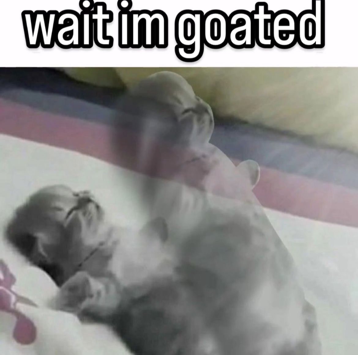 ABSURD1TY (Spread Mental Illness) tweet media