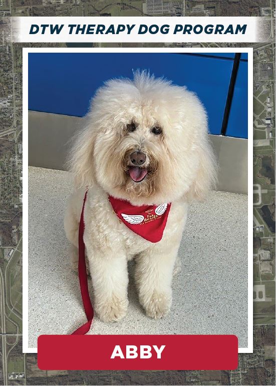 DTWeetin's tweet photo. Keep an eye out for the newest additions to the DTW Therapy Dog Program! Abby, Fiona and Magic can't wait to see you on your next trip! #flyDTW #DTWTherapyDogProgram https://t.co/IWsJoJppOr