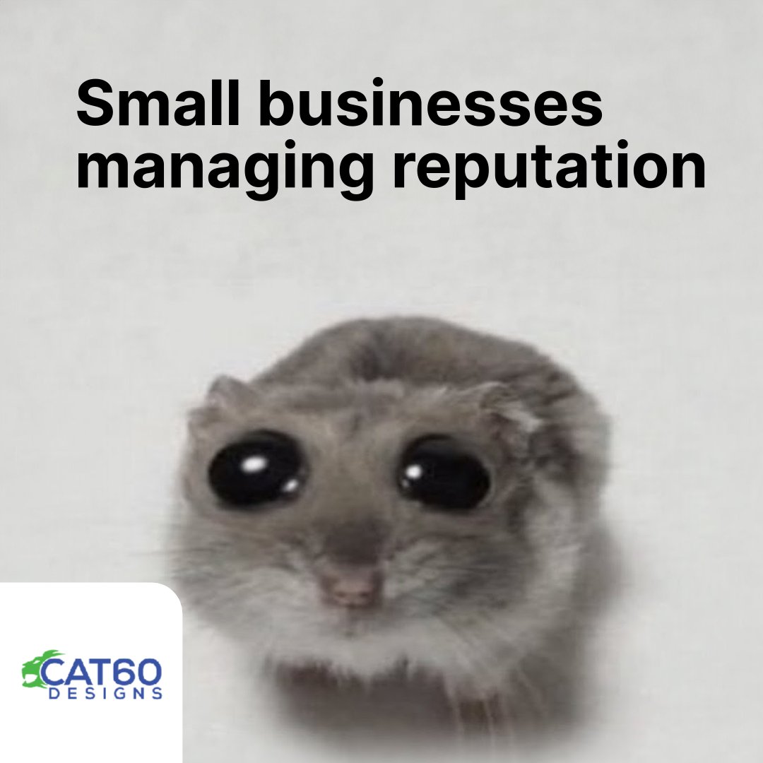 Cat60Designs's tweet photo. Top Reputation Management Tools for Small Businesses:

1. Cat60 AI: Automates and enhances online reputation management effortlessly. https://t.co/XJDeeW3Ws4