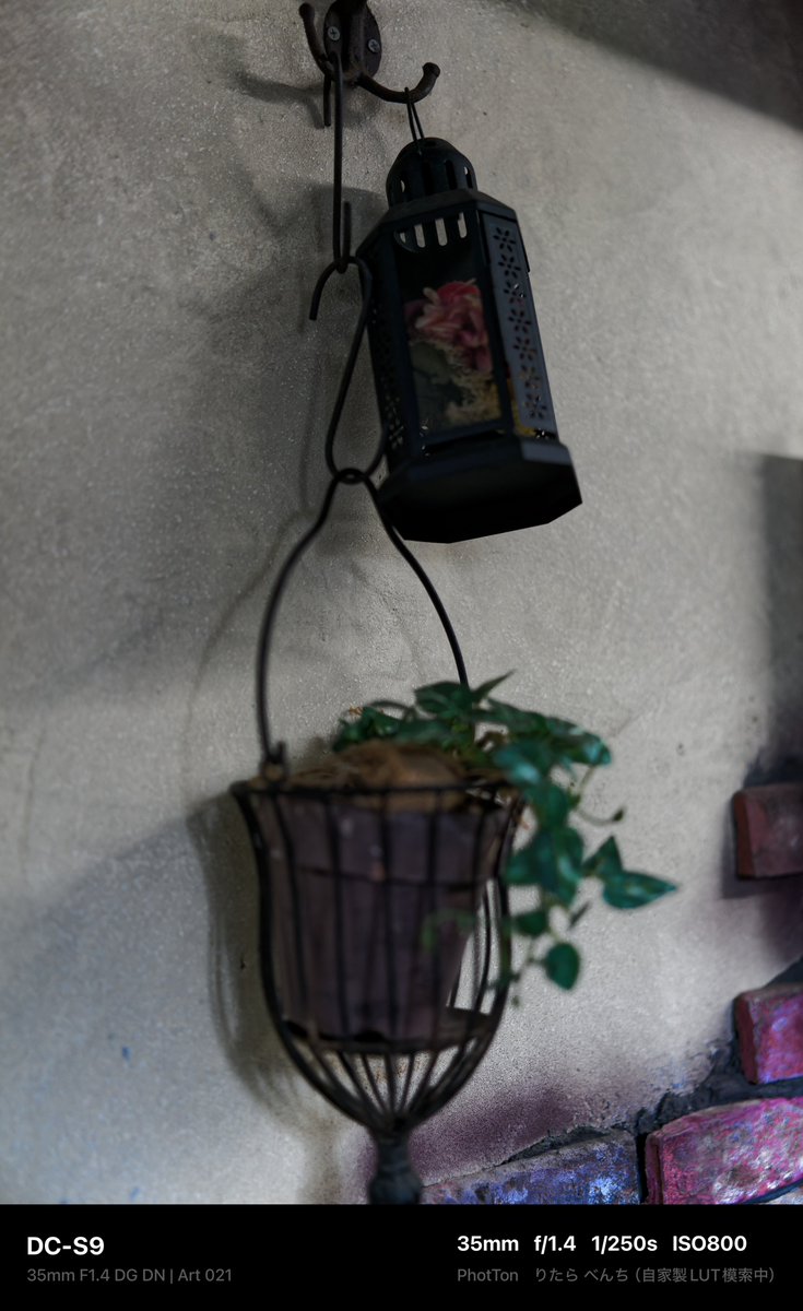 PhotTondotNet's tweet photo. 雰囲気PNBK
#Panasonic #Lumix #DCS9 #Lumixs9 #SIGMA #A35mmF14DGDN #photography #dxophotolab7 #originallut #りたらべんち
AFがあれなわけではなくてターゲットがずれてるという自己事故 https://t.co/VOfPXnZPTM