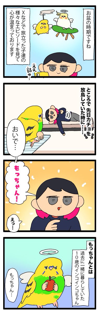 【お盆】普段は絶対間違えないのに、ふと故インコちゃんの名前を呼んでしまった。もしかしたら帰省してくれてるのかも☺️
1896 #えるポピの絵日記かくところ