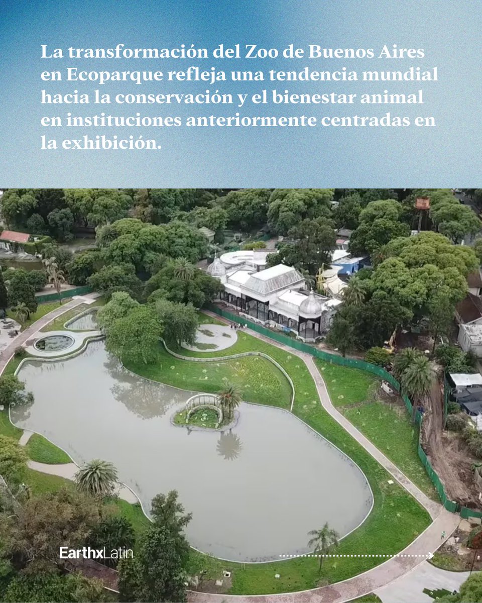 EarthxLatin's tweet photo. Buenas noticias ambientales

De jaulas a laboratorios: el Zoo de Buenos Aires se transforma en Ecoparque 🐘🧬 Un giro hacia la conservación con 12 proyectos activos para especies amenazadas. ¿Será este el futuro de los zoológicos? 🌿🔬

#ConservaciónAnimal https://t.co/YB0nW8kSRD