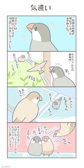 むぎちゃんの気遣い。

#buncho   #文鳥
 #漫画が読めるハッシュタグ 