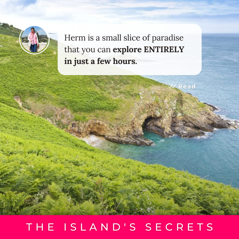 TheVirtualBunch's tweet image. Did you already know that Herm is one of the smallest inhabited islands among the Channel Islands? 🏖️

👉 Today, we'd like to introduce what the west coast of the Herm island had to offer. Read the full article on our blog.
virtualbunch.com/a-day-spent-on…

#VirtualBunch