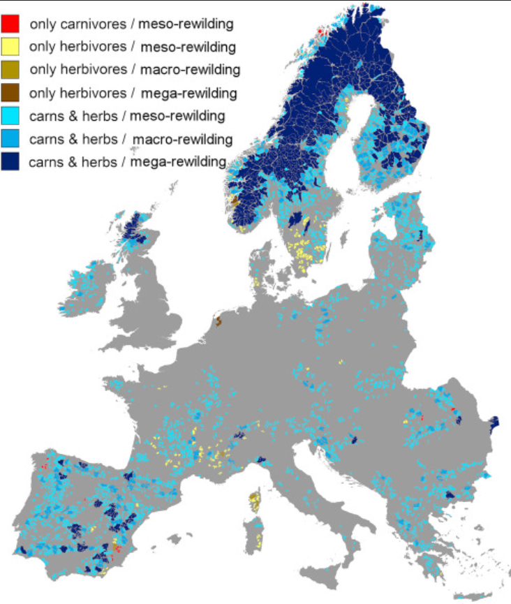 Bryony Collins tweet media