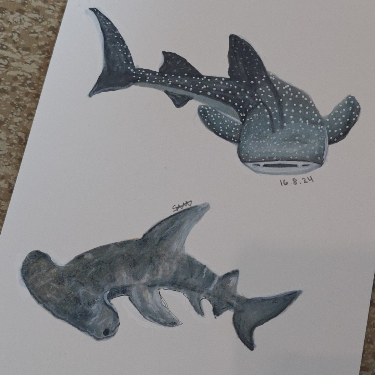 khaoskz's tweet photo. Drew some sharkies<33 #shark #sharkdrawing #alcoholmarker #hammerheadshark #whaleshark https://t.co/94oYMzkrGx