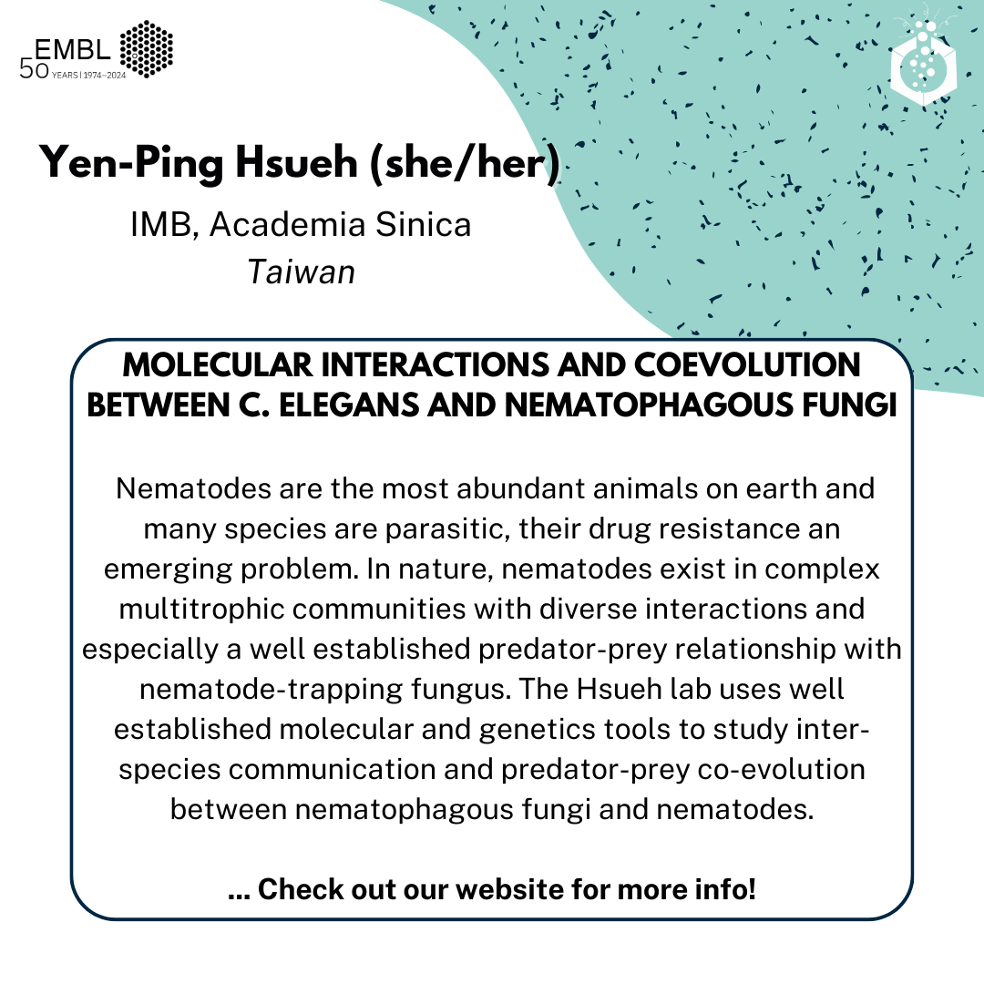 EMBLPhDSymp's tweet photo. We are excited to present Yen-Ping Hsueh (@fungi_worms) in our theme #BeyondModelOrganisms! The Hsueh lab studies molecular interactions &amp; coevolution between C. elegans 🪱 and nematophagous fungi 🍄

Registration ➡️https://t.co/r9YrAAFzmU

#biologyoutsidethebox #emblphdsymposium https://t.co/nfskgVYaTU