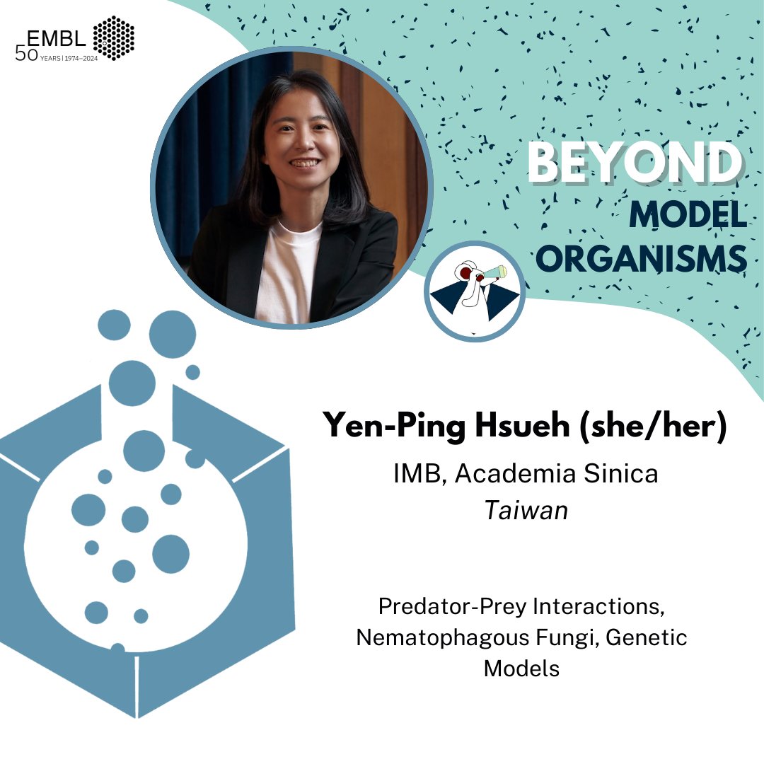 EMBLPhDSymp's tweet photo. We are excited to present Yen-Ping Hsueh (@fungi_worms) in our theme #BeyondModelOrganisms! The Hsueh lab studies molecular interactions &amp; coevolution between C. elegans 🪱 and nematophagous fungi 🍄

Registration ➡️https://t.co/r9YrAAFzmU

#biologyoutsidethebox #emblphdsymposium https://t.co/nfskgVYaTU