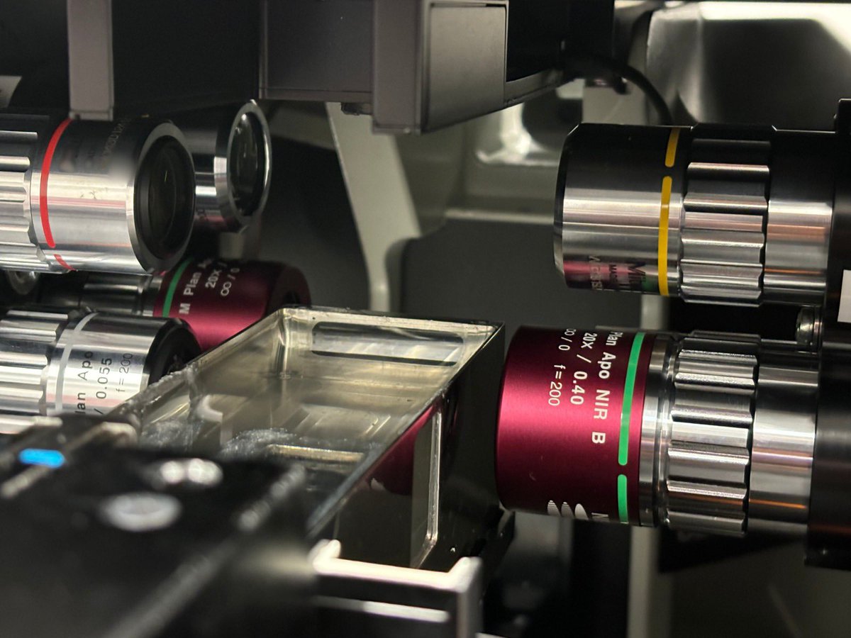 PhaseView tweet media