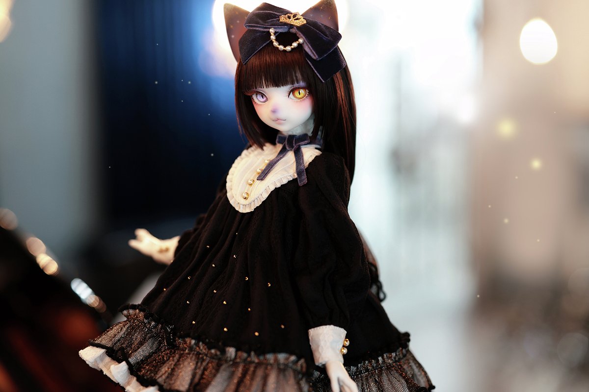 DOLK×DEAR MINE】✨世界40体限定✨ 銀河一のアイドル猫『VIVIEN L